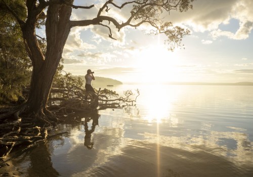 Mastering Golden Hour Photography: Tips and Tricks for Stunning Natural Light Shots